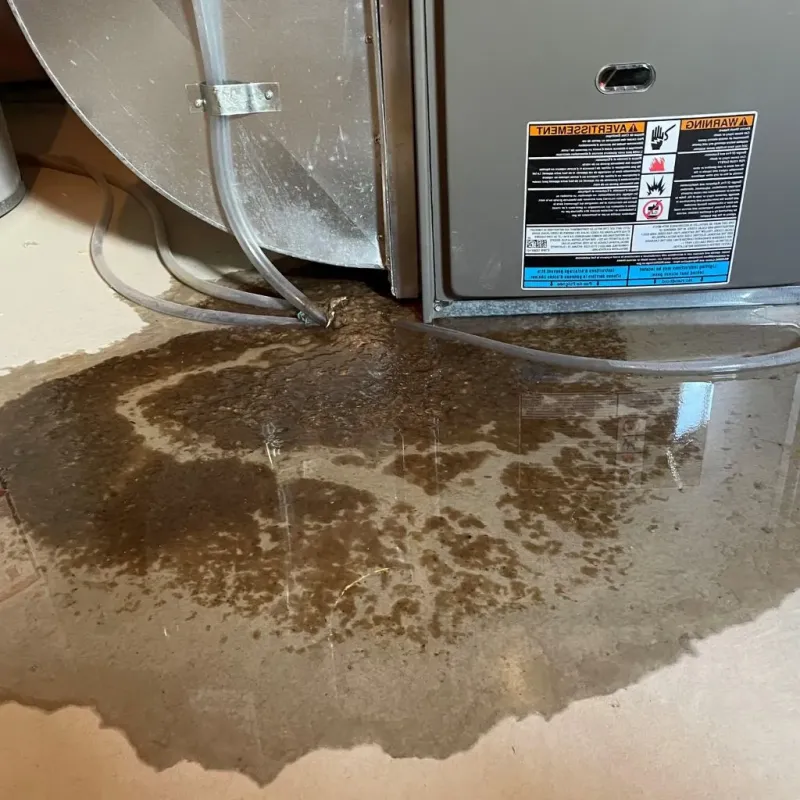 Pipe Burst and Leak Restoration in Shillington, PA