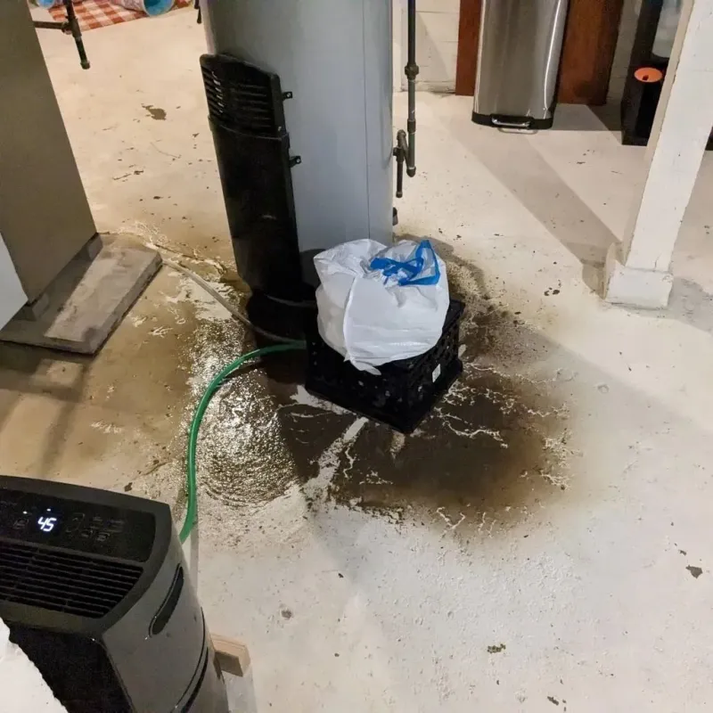 Sewage Backup Cleanup Service in Shillington, PA